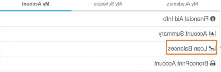 Loan Balances Tab in Boise State account